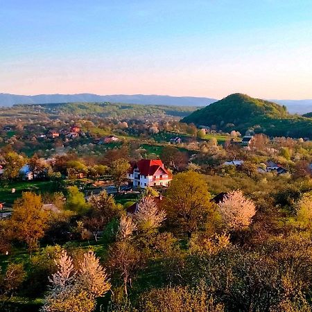 Casa Comilor Bed & Breakfast Surdesti  Bagian luar foto