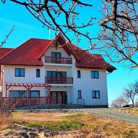 Casa Comilor Bed & Breakfast Surdesti  Bagian luar foto