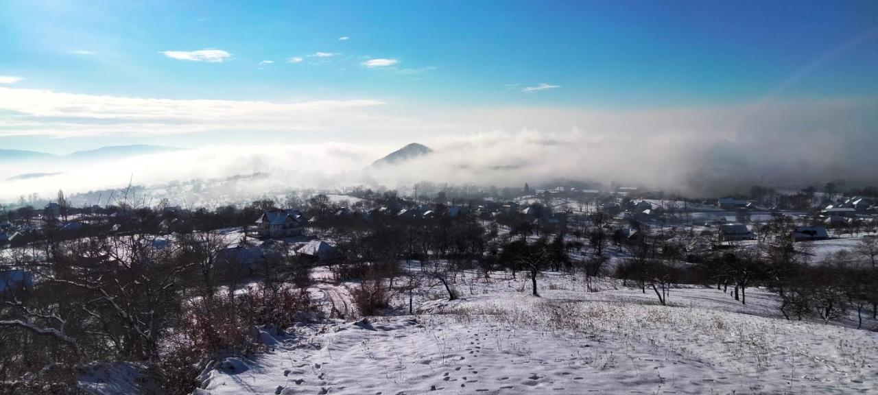 Casa Comilor Bed & Breakfast Surdesti  Bagian luar foto