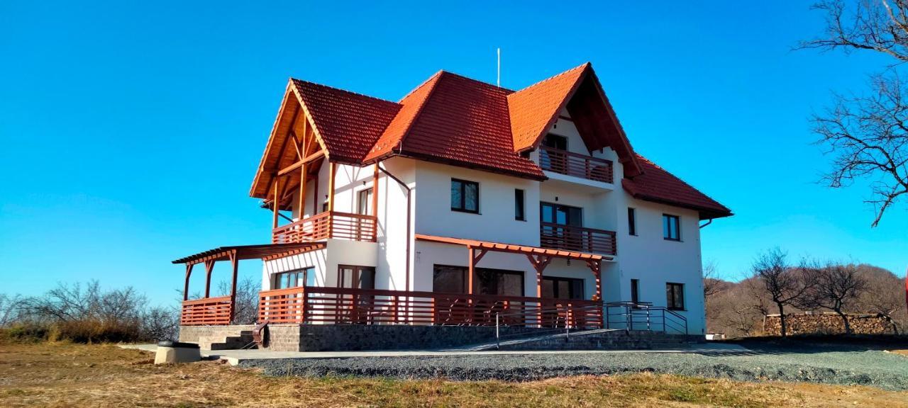 Casa Comilor Bed & Breakfast Surdesti  Bagian luar foto