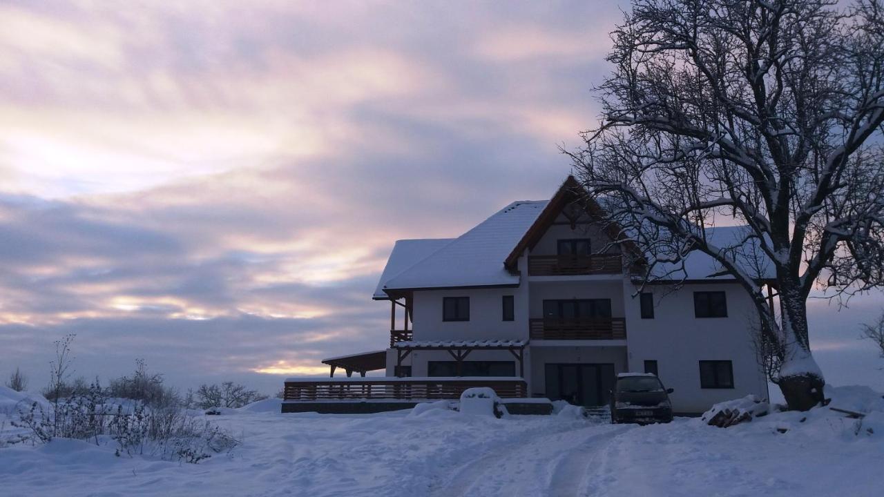 Casa Comilor Bed & Breakfast Surdesti  Bagian luar foto