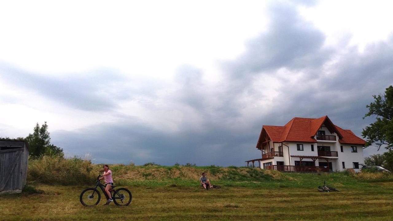 Casa Comilor Bed & Breakfast Surdesti  Bagian luar foto