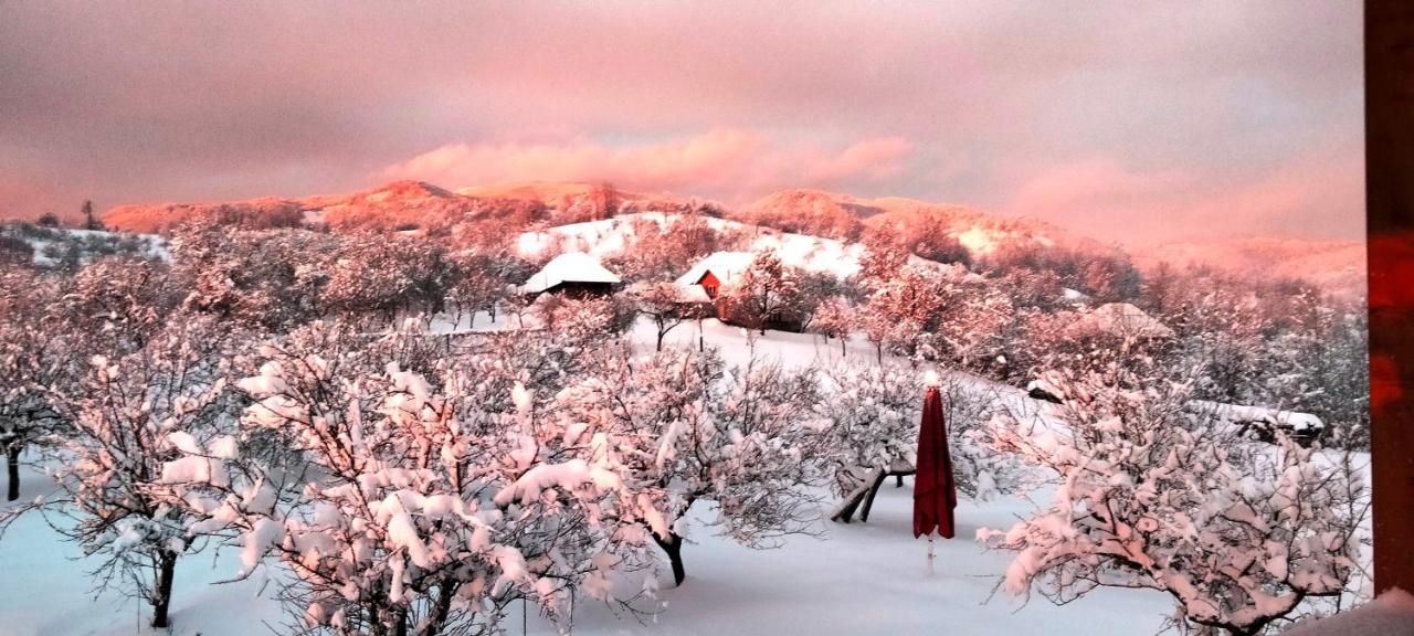 Casa Comilor Bed & Breakfast Surdesti  Bagian luar foto