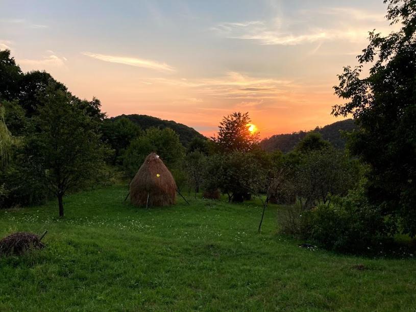 Casa Comilor Bed & Breakfast Surdesti  Bagian luar foto